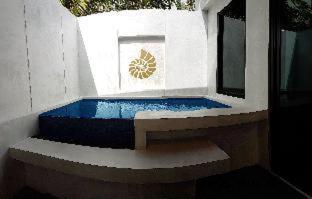 Villa with Plunge Pool